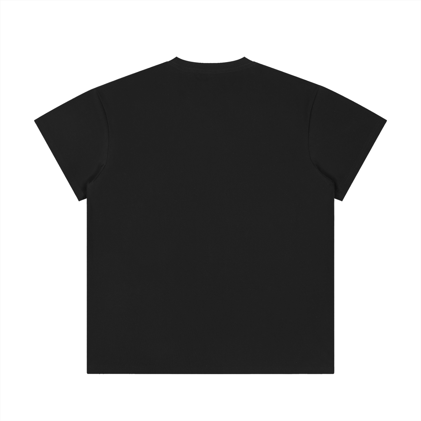 Unisex Regular Fit Crewneck T-Shirt